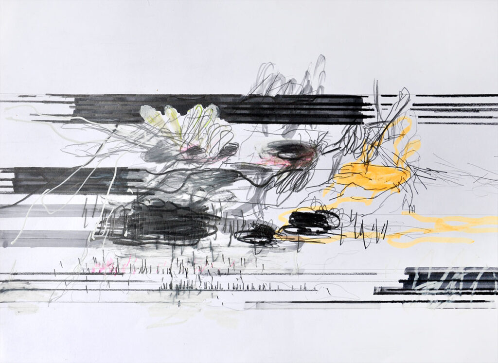 Michael Picke - seerosen 03 | pencil and marker on paper | 30 x 40 cm | 20015