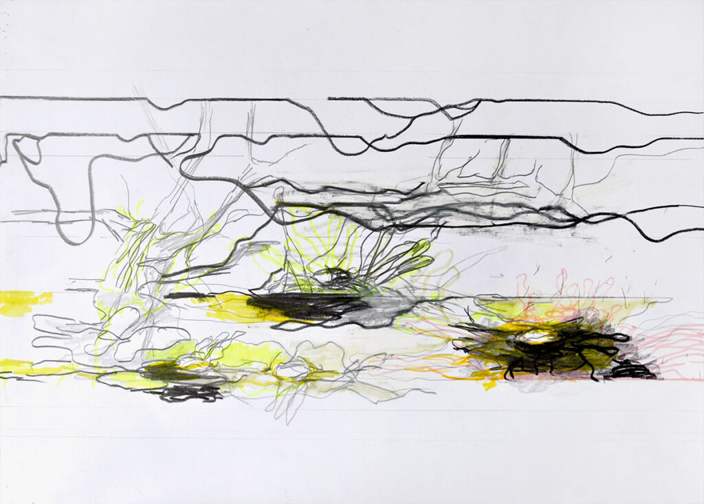 Michael Picke - seerosen 05 | pencil and marker on paper | 30 x 40 cm | 20015